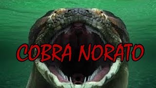 A Lenda da Cobra Norato ou Cobra Honorato  Folclore Brasileiro [upl. by Sreip]