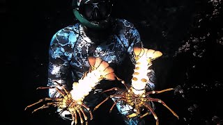 FREEDIVE Catch n Cook CRAYFISH NEW ZEALAND Adventure VLOG 172 Haast FISHING Josh James [upl. by Shannen644]