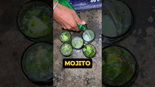 Mint Mojito Recipe 😀👌  WG Day 39150  minivlog mojito shorts [upl. by Avra]