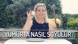 Haşlanmış Yumurta En Kolay Nasıl Soyulur 7  Yemekcom [upl. by Aisyle]