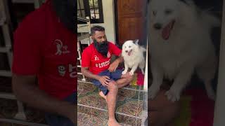 Appuzinte kuruthakedu kando🤣funny dog dogs shorts puppy comedyyoutubeshorts puppy animals [upl. by Lebiram50]