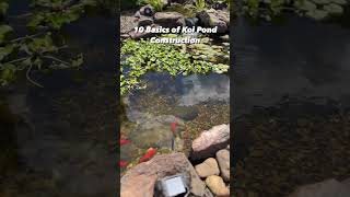 Creating Your Dream Koi Pond 10 Essential Steps [upl. by Gunning]