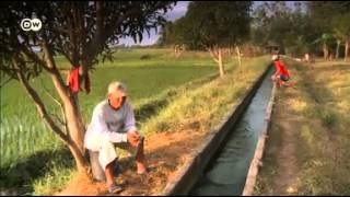 बिना पानी चावल की खेती Growing rice without water [upl. by Terchie]