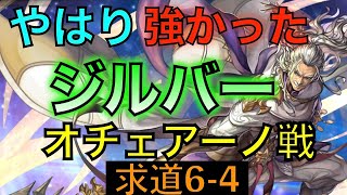 【アナデン】手持ちが少ない人の救世主ASジルバー vsオチェアーノ 叡智の塔 求道の大会64【アナザーエデン】 [upl. by Ennaej]