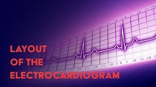 Layout of the Electrocardiogram  How to Read an Electrocardiogram EKG  MEDZCOOL [upl. by Ayekahs26]