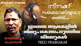 ഇടഞ്ഞു നിൽക്കുന്ന ആനകളെ തളയ്ക്കുമ്പോൾ ബോണസ് ആയി ജീവനും  Onakkoor Ponnan  Elephant Frames  PART 12 [upl. by Ayekan]