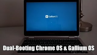 How To Set Up Dual Boot Chrome OS  Gallium OS On The Asus C302 Chromebook And Other Chromebooks [upl. by Gail]