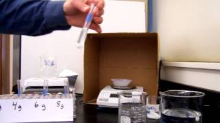 Chemistry Lab Solubility Curve for Potassium Nitrate [upl. by Talich]