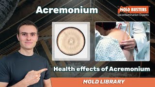 Acremonium  Mold Library [upl. by Crin]