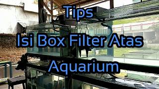 Tips Isi Box Filter atas aquarium [upl. by Dunston]