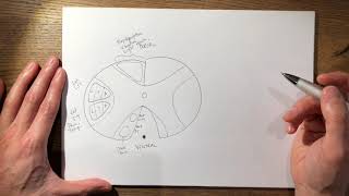 19 Spinal Cord Anatomy FRCS TrampOrth [upl. by Klingel]