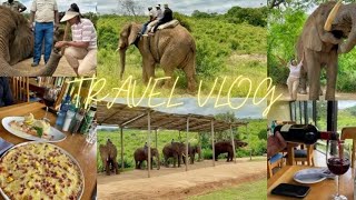 Hazyview Travel VlogElephant Interaction Elephant Riding Elephant FeedingLunch  Hippo Hollow [upl. by Laira270]