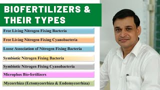 What are biofertilizers  Types and importance of biofertilizers [upl. by Teevens897]