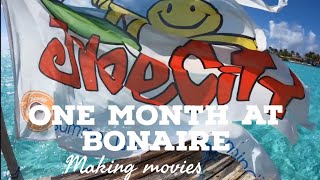 One month at Bonaire  making movies [upl. by Earissed]