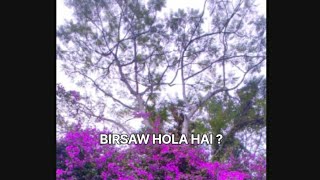 Birsaw hola hai  Thewings001 Nepali poem darjeelinghills [upl. by Quartas14]