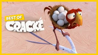 CRACKÉ  SUDDEN BREAK  Cartoon Animation  Compilation [upl. by Willow]