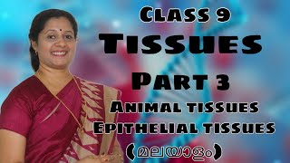 CLASS9BIOLOGY ANIMAL TISSUES PART3 MALAYALAM EPITHELIAL TISSUES [upl. by Enoyrt]