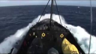 Operation Migaloo  200708  Sea Shepherd Whale Defense [upl. by Ylrebma503]