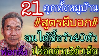 21ถูกทั้งหมู่บ้านquotสูตรผีบอกquotจนซื้อวัว40ตัวปล่อยด่วน3ตัวเด็ด11267 [upl. by Ebehp412]