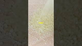 Need to soften hard brown sugar Do this sugar youtubeshorts youtube trending bitcoin facts [upl. by Yemane]