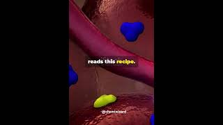 Do you knowUnderstanding tRNA mRNA and rRNA  CHEMIWIZARD🔬 trendingshortschemistry chemiwizard [upl. by Koralle509]