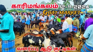 goat market karimangalam market Dharmapuri district வளர்ப்பு ஆடு குட்டிகள் விற்பனை காரிமங்கலம் சந்தை [upl. by Thom]