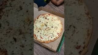 la pinoz large size pizza sansu masti [upl. by Nihsfa958]