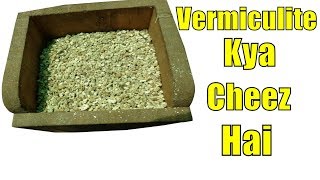 Vermiculite Kya Cheez Hai  Volcanic Rock  Water Holder [upl. by Lodhia]