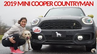 2019 Mini Cooper SE Countryman All4 Andie the Lab Review  Winners Announced [upl. by Halley430]