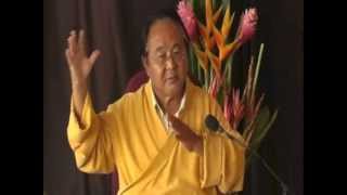 Sogyal Rinpoche  How to Help Those Who Have Died [upl. by Aileen]