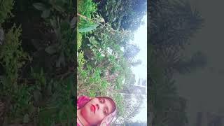 Ye  ho sakhi tani chunari li aawa bhojpuri song shorts vloge trending viral sarita [upl. by Asilrac477]