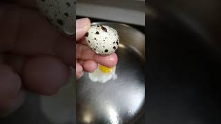 Fry quail egg yummy [upl. by Liv256]