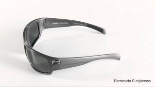 Bolle Barracuda Sunglasses  Polarized [upl. by Camella]