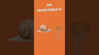 Vertebrate or Invertebrate Animal Classifications [upl. by Libb]