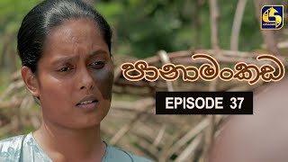 Panamankada Episode 37  පානාමංකඩ  27th November 2021 [upl. by Socem]