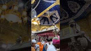 Ajmer Sharif Dargah Chatti Sharif Mubarak🌹 ajmersharif chattisharifstatus hajj shorts viral [upl. by Lidaa]