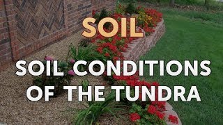 Soil Conditions of the Tundra [upl. by Oivatco]