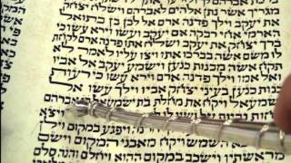 Maftir Reading Toldot Torah Rabbi Weisblum קריאת מפטיר תולדות הרב ויסבלום [upl. by Nuahs]