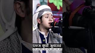 দিদার দাও গো শাহে মাদিনা  জুবায়ের আহমেদ তশরিফ নতুন গজল [upl. by Laitselec75]