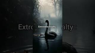 Extroverts anger🔥 Extroverts revenge 😶Extroverts love❤extroverts kindness🦢extroverts editsviews [upl. by Gavrila703]