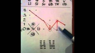 Acupuncture pulse diagnosis with pulse map 14 [upl. by Zulaledairam]