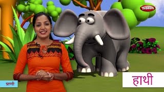 Animal Names in Hindi  हिंदी में प्राणियों के नाम सीखे  Hindi Animal Names For Children [upl. by Karen629]