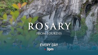 Rosary from Lourdes  19102024 [upl. by Kimberly]