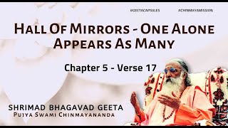 Bhagavad Geeta  Hall Of Mirrors  One Alone Appears As Many Chapter 5 Verse 17 [upl. by Holbrooke]