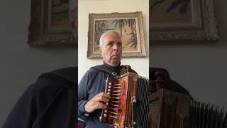 La Ronfleuse Gobeil Mélodie B 12 Cajun accordion Martin lygeros music accordion [upl. by Acceb]