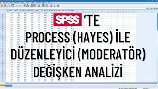 SPSSte Hayes Process Yöntemi İle Düzenleyici Moderatör Değişken Analizi [upl. by Sredna]