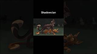 What clan do you belong to  warriorcats edit shadowclan thunderclan windclan riverclan [upl. by Anitsirhc]