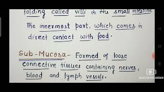 Basic layers of Alimentary Canal Ch16 Digestion and Absorption CLASS 11 BIOLOGY [upl. by Ania]