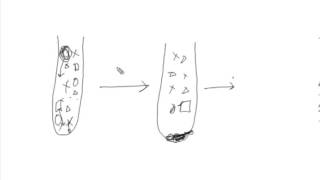 Separation methods in preparative ultracentrifuges [upl. by Ociram]