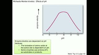 Medical Biochemistry Enzyme Kinetics Skildum [upl. by Menard692]